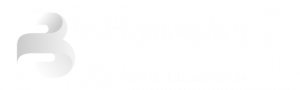 THE BANNON REPORT logo